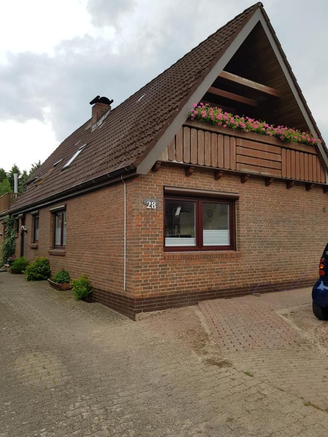 Appartamento Haus Am Gruenen Weg Hemmingstedt Esterno foto